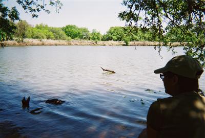 5435840-R1-046-21A.jpg