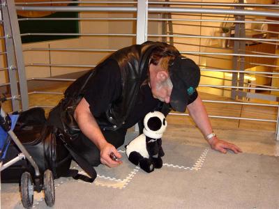 Bruce and Andy the Panda