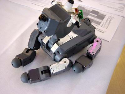 Skinned 31x