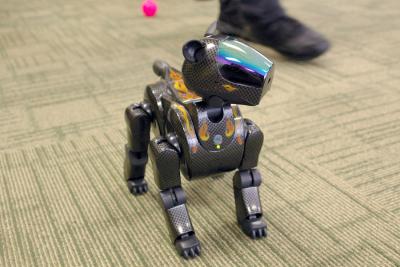 Shinobi the amazing carbon fiber Aibo