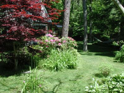 u11/jcarter/medium/2532261.EarlyJune.jpg