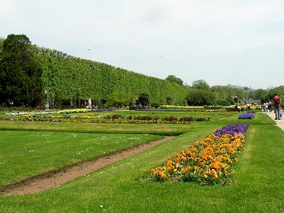 u11/jchriste/medium/42765322.botanicgarden04.jpg