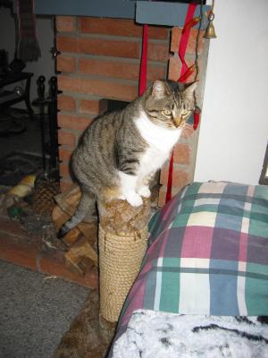 Machka