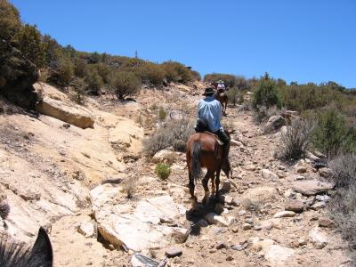 Heading up the ridge