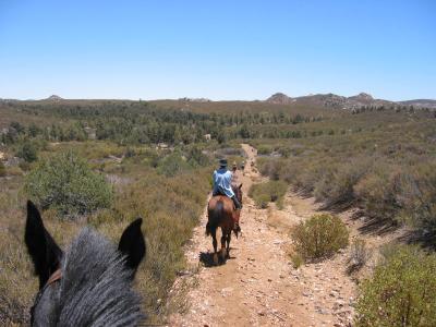 Lynette heading down trail