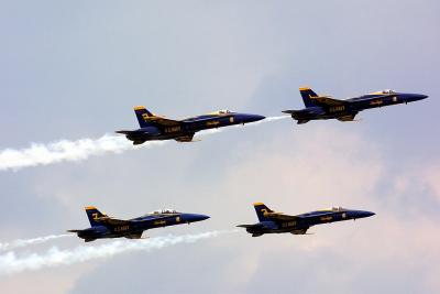 CRW_0291_std.jpg