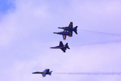 CRW_0304_std.jpg