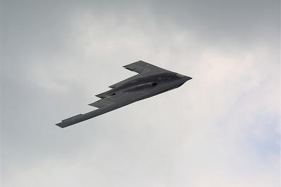 crw_0451~1_std.jpg