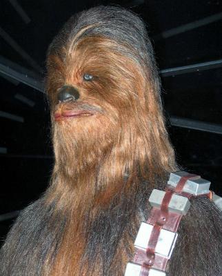 Chewbacca Detail.jpg