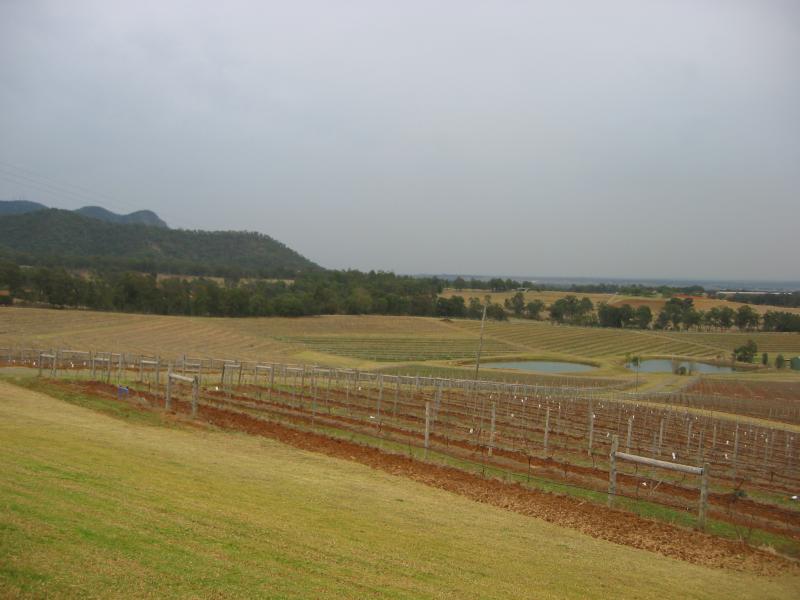 Audrey Wilkinson winery in the Hunter Valley.