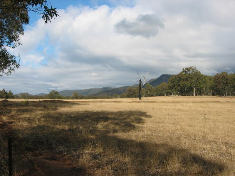 Country around Pokolbin, Hunter Valley.