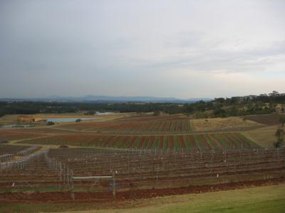 Audrey Wilkinson winery in the Hunter Valley.