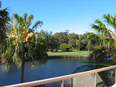 From our balcony, Coffs harbour.