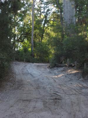 The roads on Fraser Island.