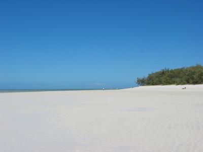The beach on Heron Island at low tide.