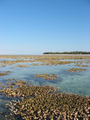 Heron Island from the outer edge of the reef.