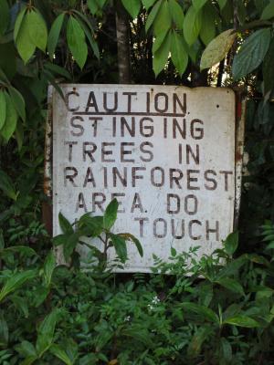 Don't touch anything in the rainforest.