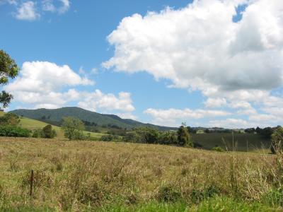 Rolling hills of the Atherton Tablelands.