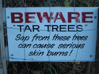 Sign on Four Mile Beach, Port Douglas.