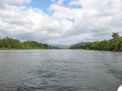 The Daintree River.