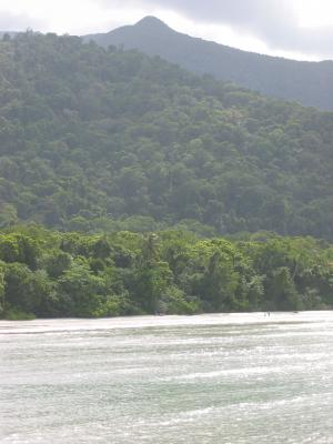 Cape Tribulation.