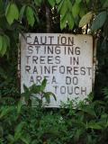 Dont touch anything in the rainforest.