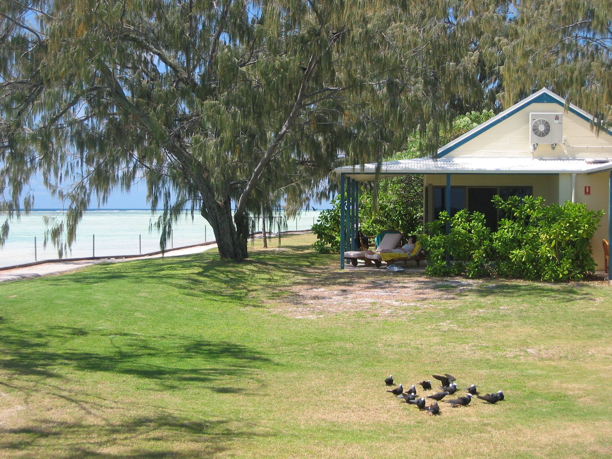 Our suite, Heron Island.