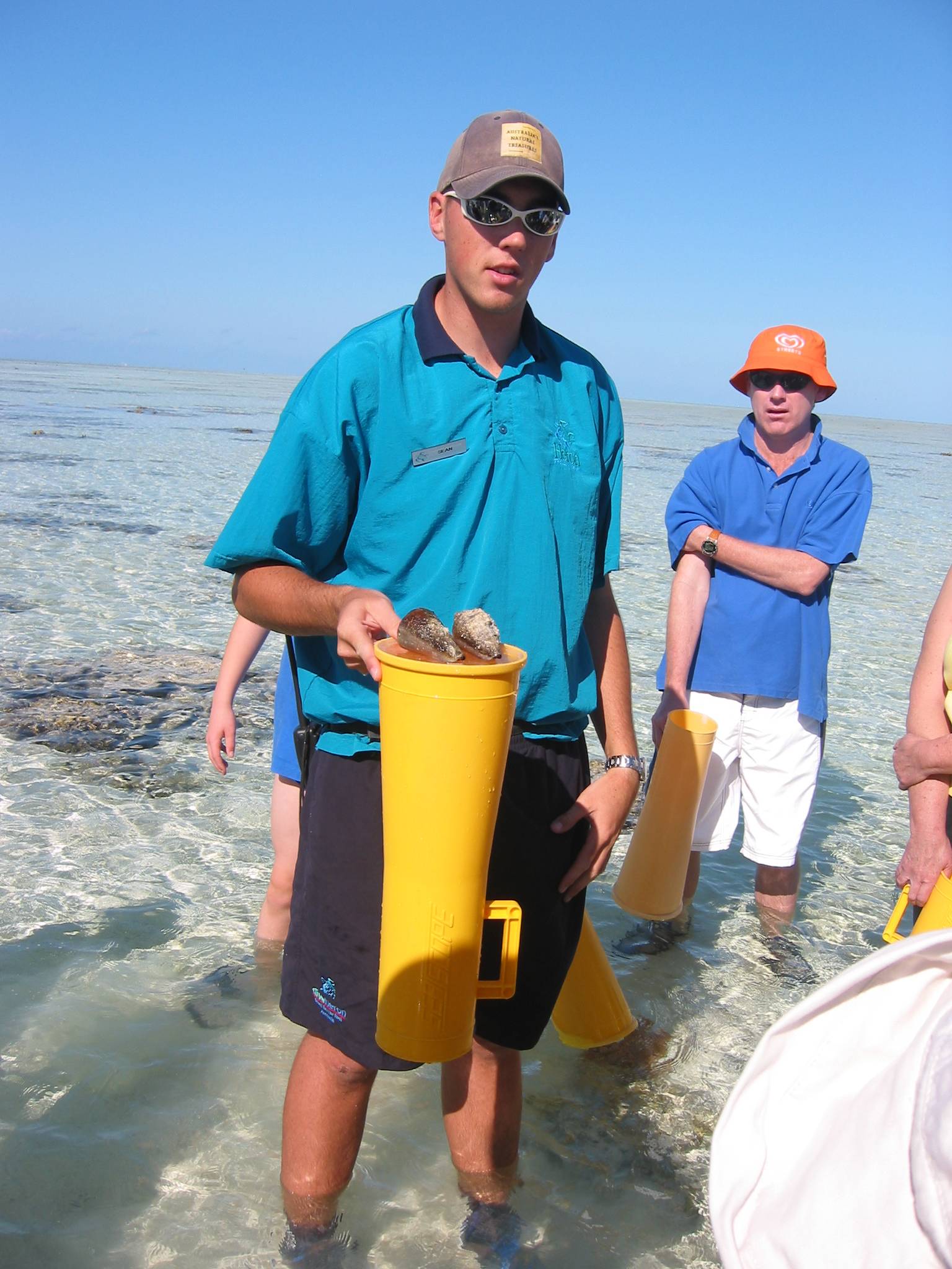 Cone shells on guided reef walk.