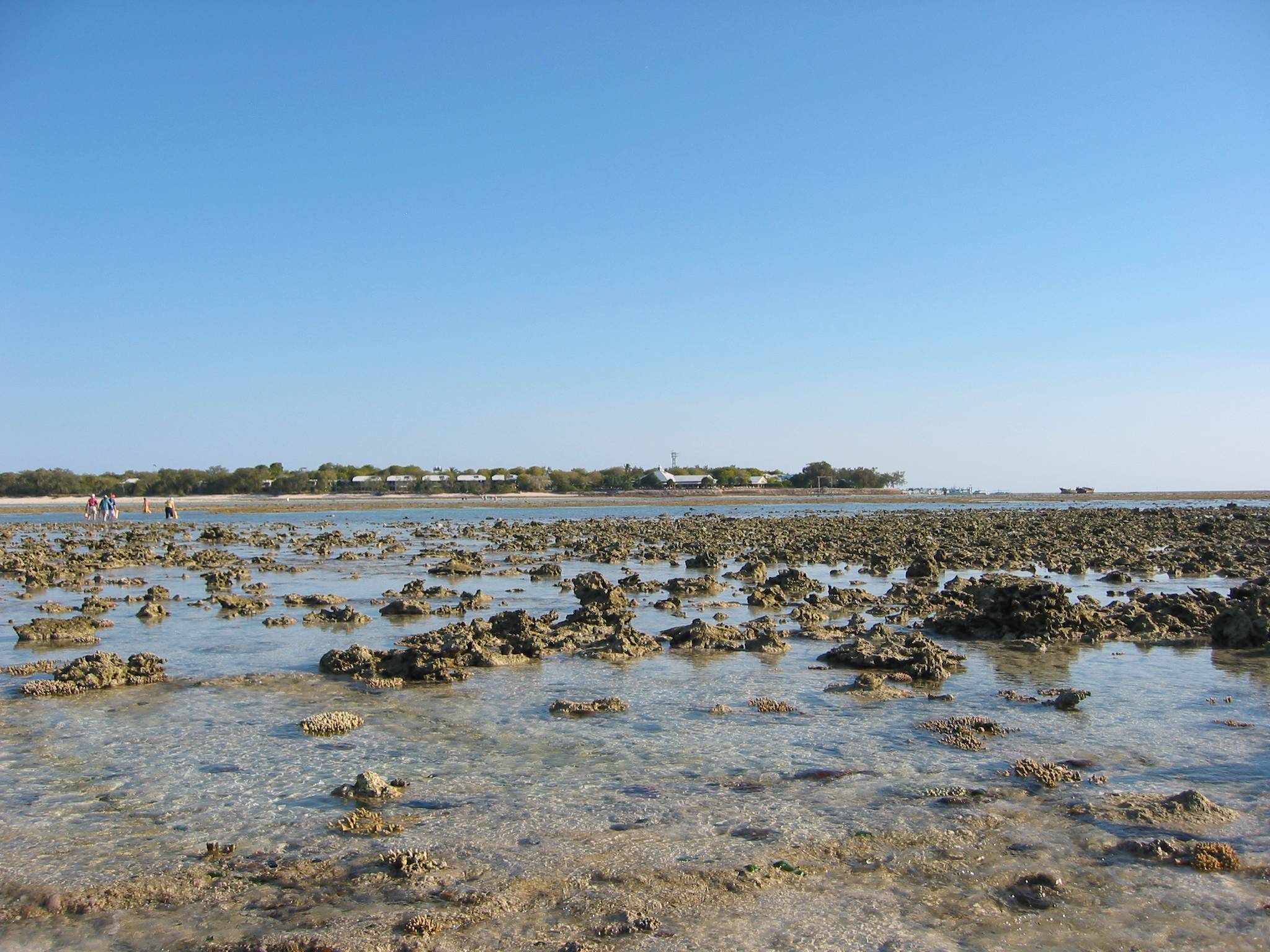 Looking back to Heron Island from the rubble zone.