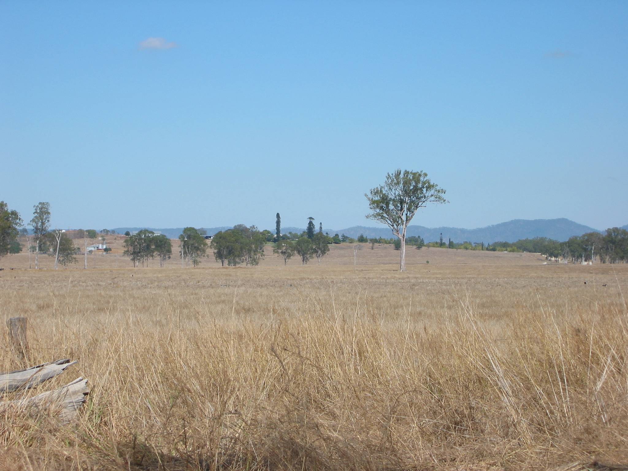 Lagmorn Station is where the two hoop pines can be seen in the distance.