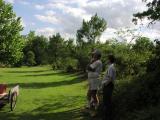 yard 045.jpg