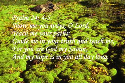 Psalm 24 4_5.jpg