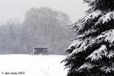 Wagon in Snow, West Newbury