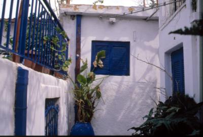 house-garden.jpg