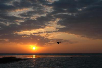 Keys Sunset