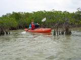 Kayaking at Long Key State Park