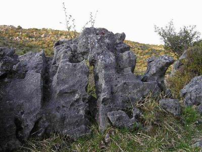 Sculptures de dolomie noire