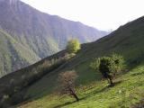 Sur les pentes infrieures du Mail Arrouy