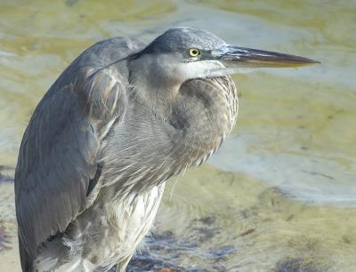 DSC_3400 crop.jpg
