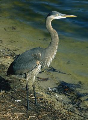 DSC_3412 edit.jpg
