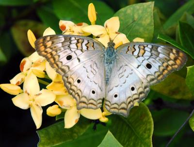 DSC_2059c.jpg