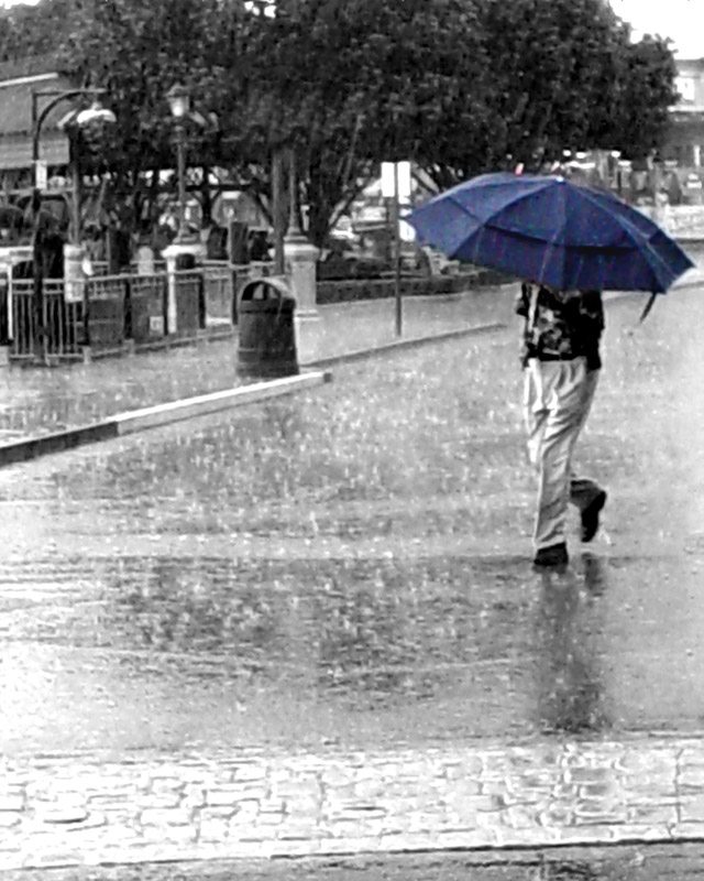 pat's rain photo.jpg