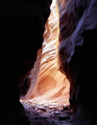 Starting Water Canyon-Arizona