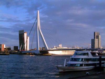 Erasmus Bridge and ms Rotterdam