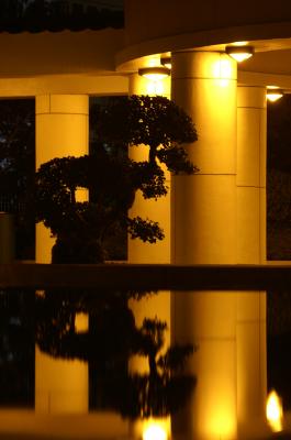 Reflexion by night 2