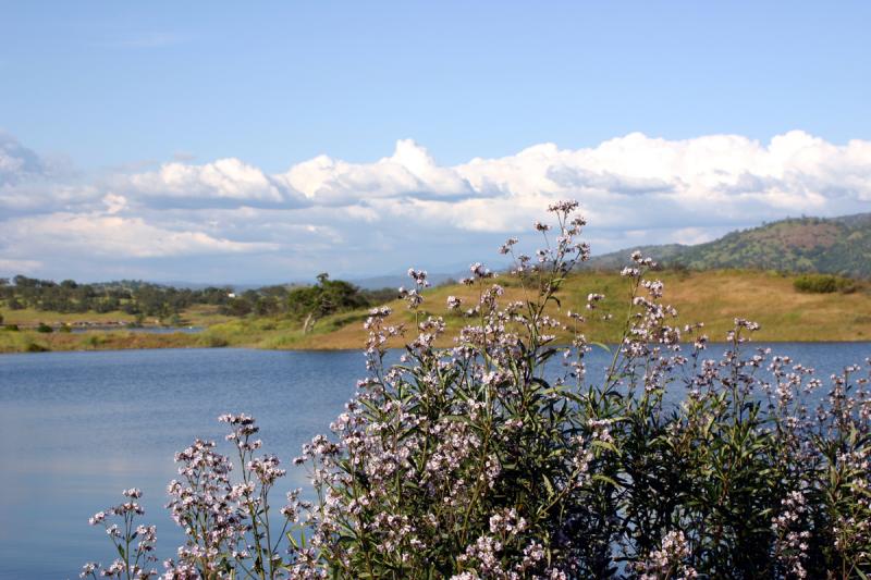 The Lake