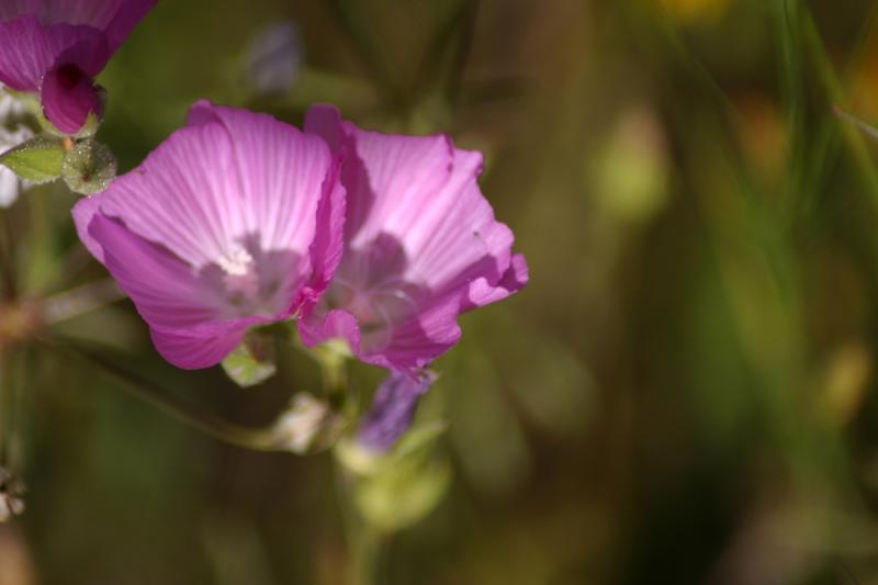 Farewell To Spring