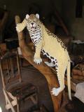 Carved Leopard