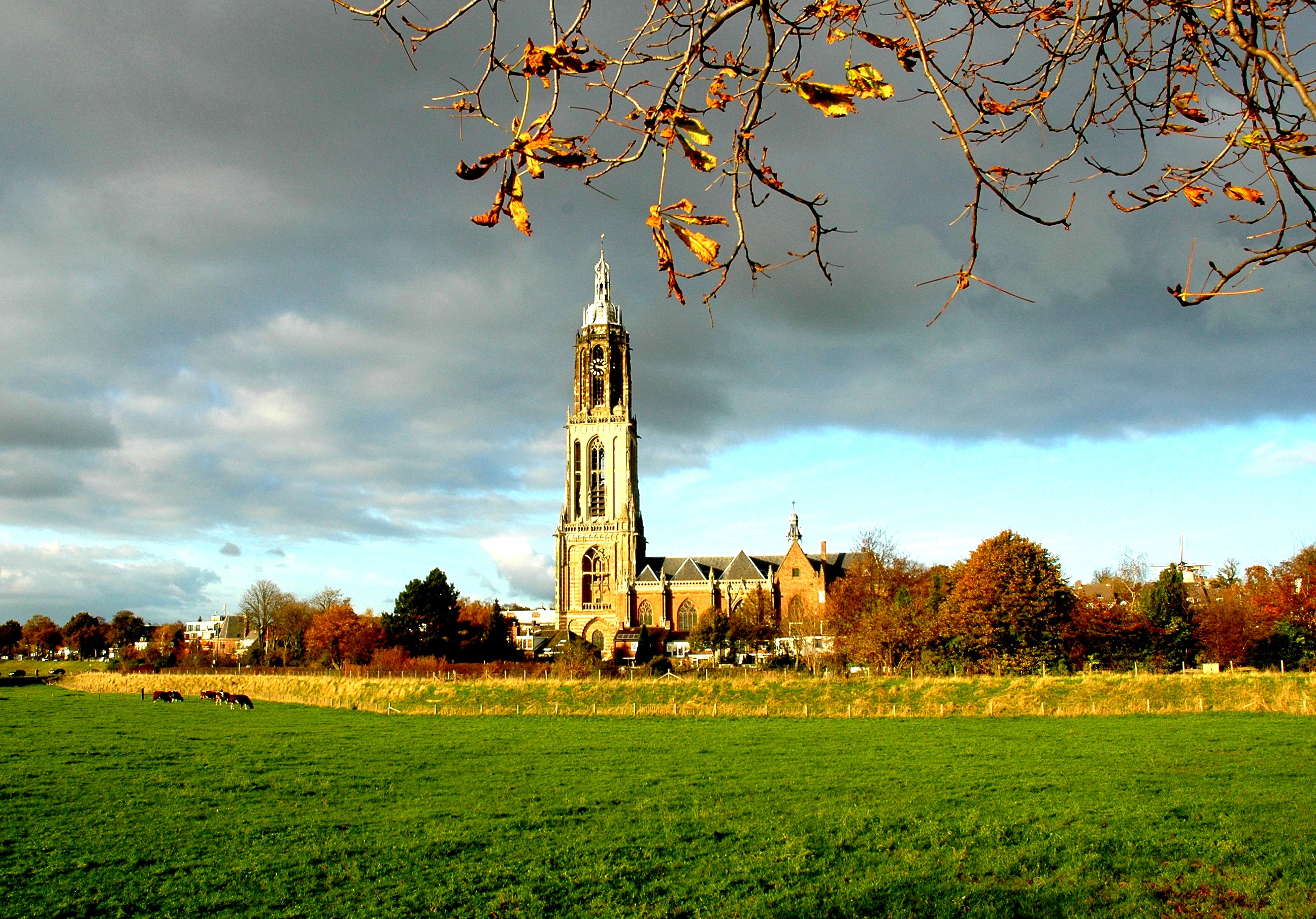 Golden autumn colours along the Rhine river, near Rhenen