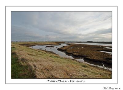 Cowpwn Marsh - Seal Sands